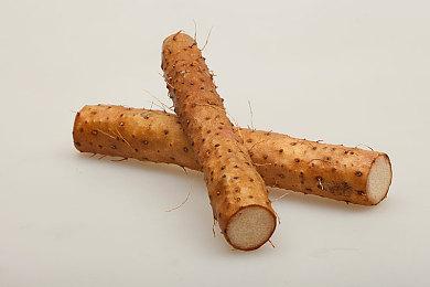 《消逝的光芒：困兽》全新预告：美轮美奂河狸谷